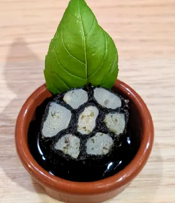 Cassolette fraîche au basilic